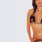 Laura-Harring-2