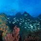 Los Roques Reef, Venezuela