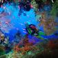 Soft Coral Embellished Cave, Fiji
