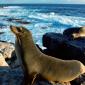 Sunbathing