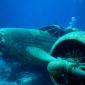 Sunken Plane, Aruba