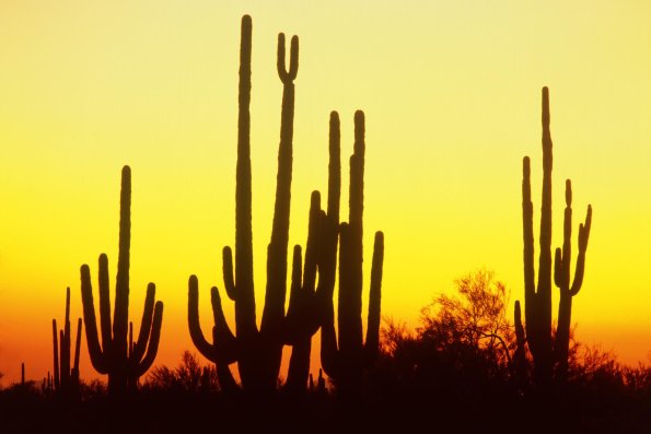 Sunset - 20