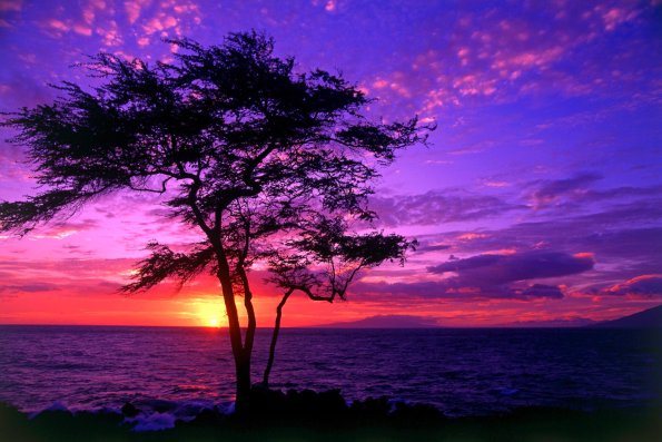 Sunset - 57