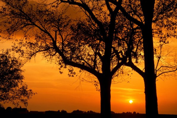 Sunset - 61