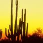 Sunset - 20