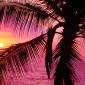 Sunset - 27