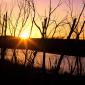 Sunset - 28