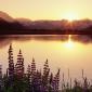 Sunset - 29