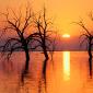 Sunset - 49