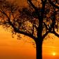 Sunset - 61