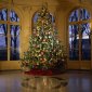 Christmas (149)