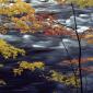 Autumn Colors a Rushing River