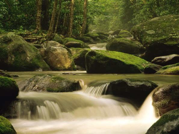 Roaring Fork River, Great Smoky Mountains National Park, Tennessee