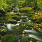 Roaring Fork, Timed Exposure, Great Smoky Mountains, Tennessee