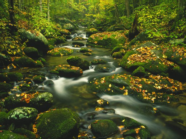 Roaring Fork, Timed Exposure, Great Smoky Mountains, Tennessee