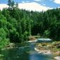 Umpqua River, Douglas County, Oregon