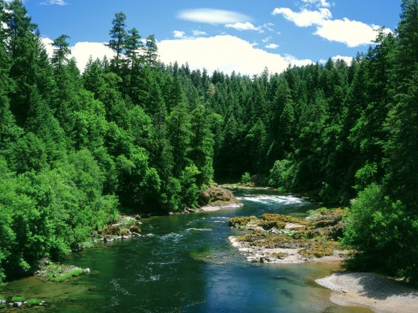 Umpqua River, Douglas County, Oregon