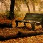 Autumn_bench