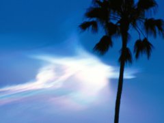 Rocket Clouds At Dusk, Pasadena, California