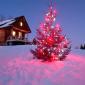 Koledni Christmas
