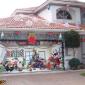Koledni Christmas