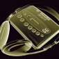(10)