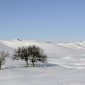 snowscape