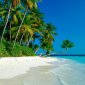 Lost in Paradise