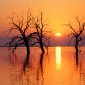 Sunset - 49