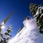 Dropping Into Powder, Bridger Bowl, Montana